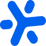 BrainChip mark