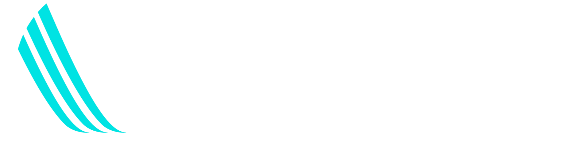 Lightelligence mark