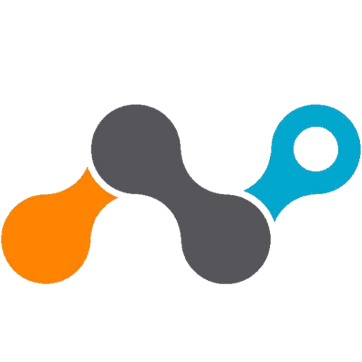 Netskope mark