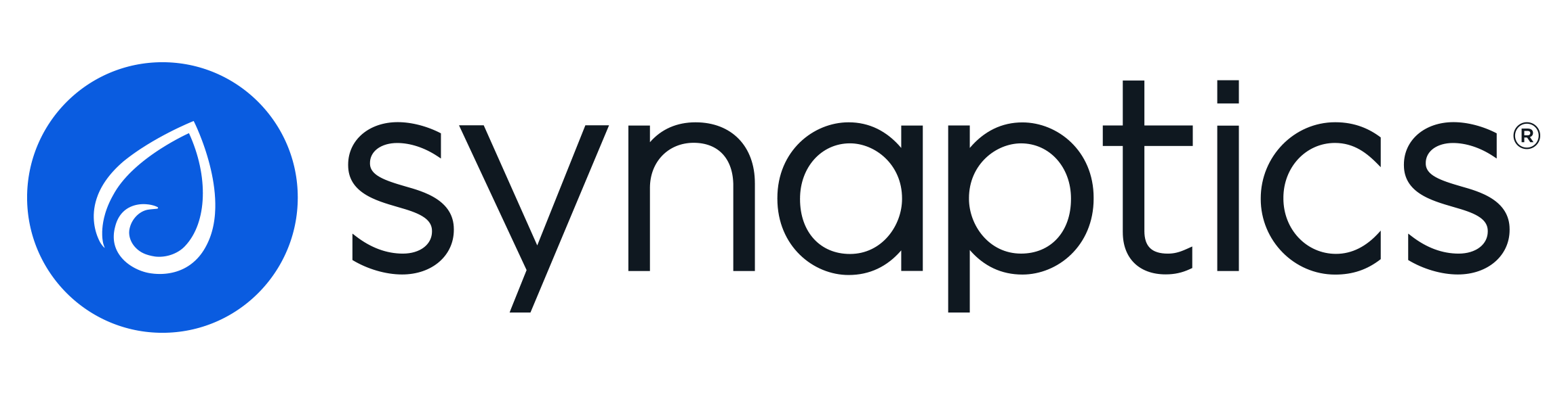 Synaptics mark